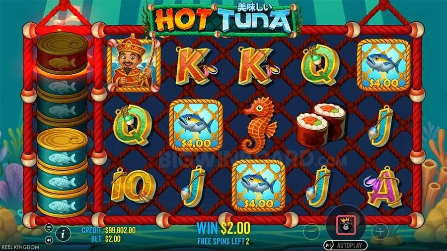 Immersive Live Casino at 8k8 Casino